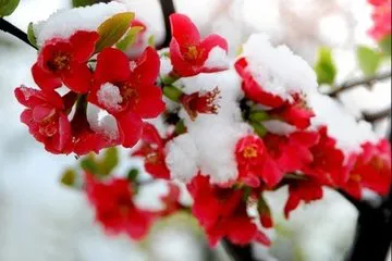t0129124f3156ad2843.webp