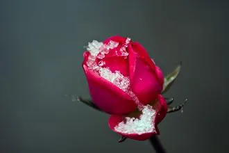 u=3606192060,3697438879&amp;fm=21&amp;gp=0.webp