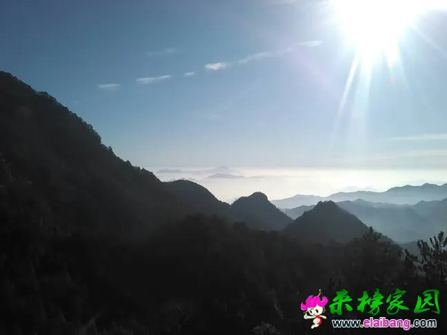 100430fac77x3awmfmuzfu.webp