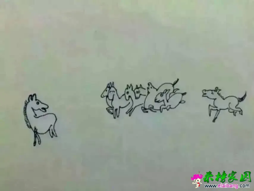 164556ohkw3r24hbc54o8c.webp
