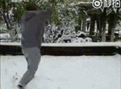 0 (3).gif