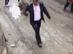 0 (4).gif