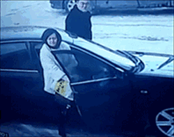 0 (5).gif