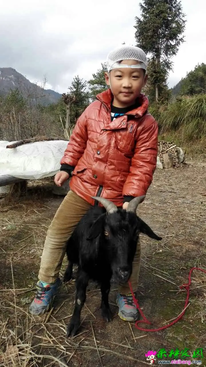 QQ图片20151129115854.webp