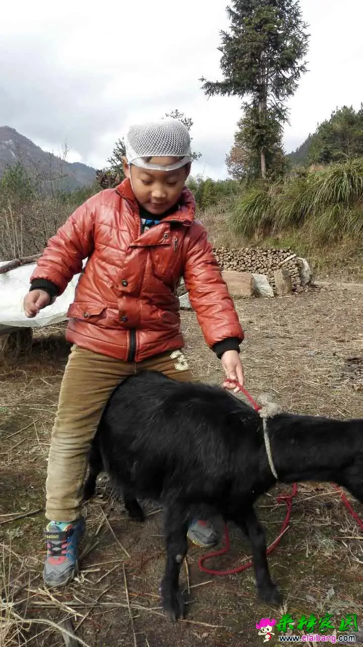 QQ图片20151129120042.webp