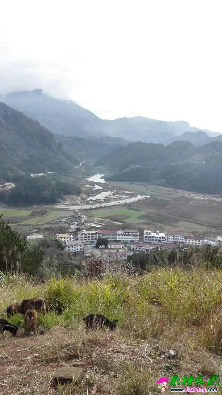 QQ图片20151129120048.webp
