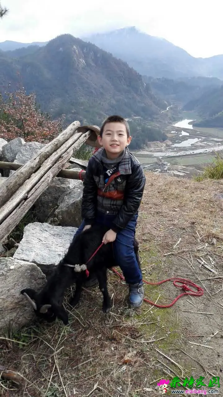 QQ图片20151129120104.webp