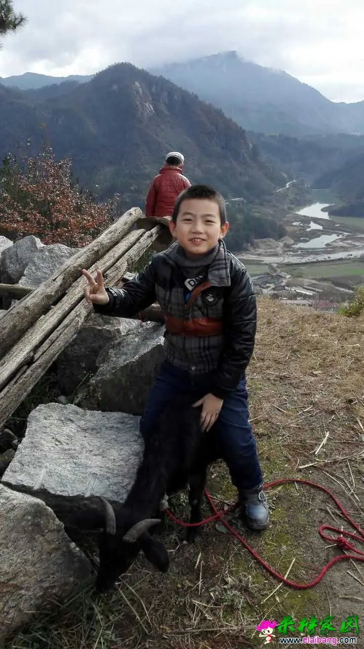 QQ图片20151129120107.webp