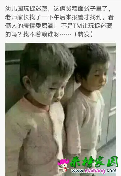 165615a72rfpzjfew2jp95.webp