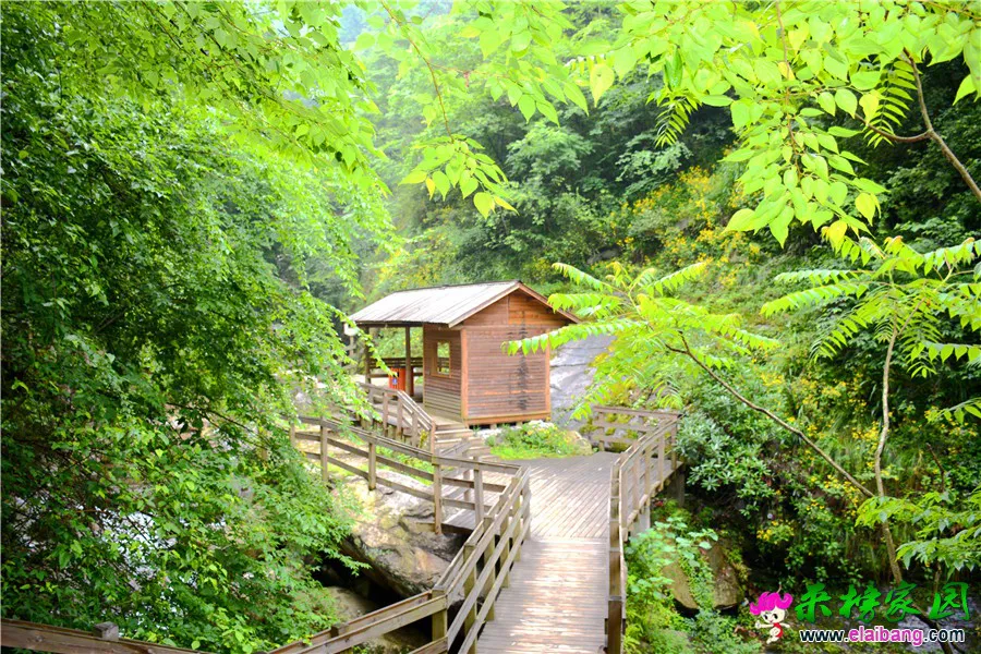 DSC_0397_副本 - 副本.webp