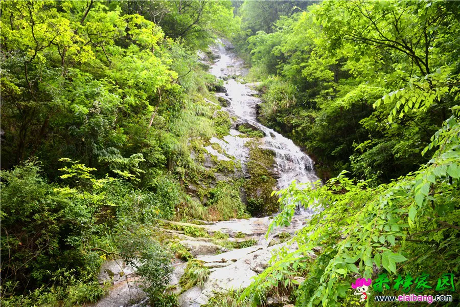 DSC_0402_副本 - 副本.webp
