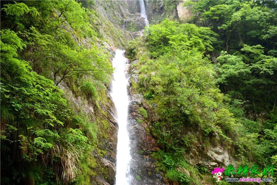 DSC_0439_副本 - 副本.webp