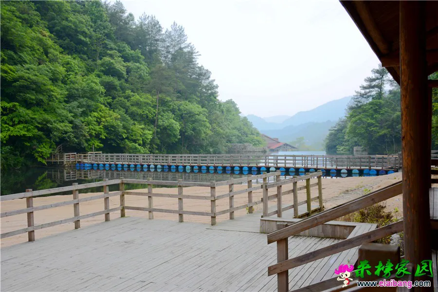 DSC_0446_副本.webp