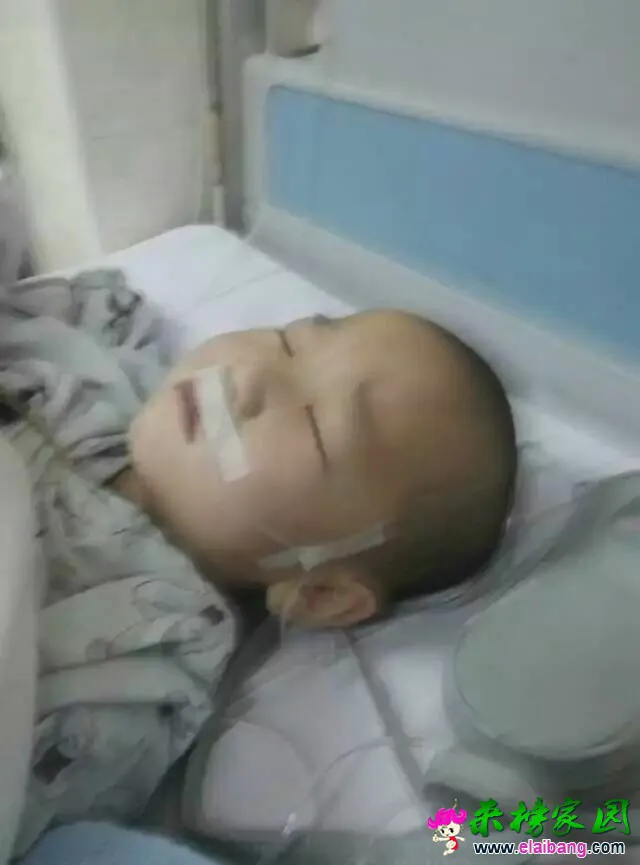 QQ图片20151201215655.webp