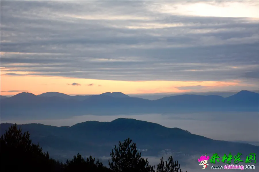 DSC_8399_副本_副本.webp