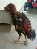 221155s88xpqjqy8xqpj8z.webp