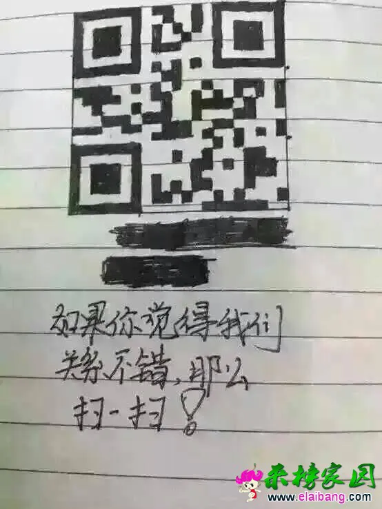 123135u4kvfzu4efk67f4b.webp