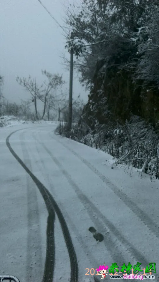 QQ图片20151205203414.webp