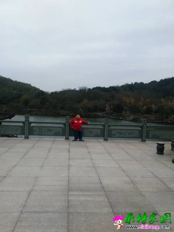 213831ojsraoornrownnor.webp