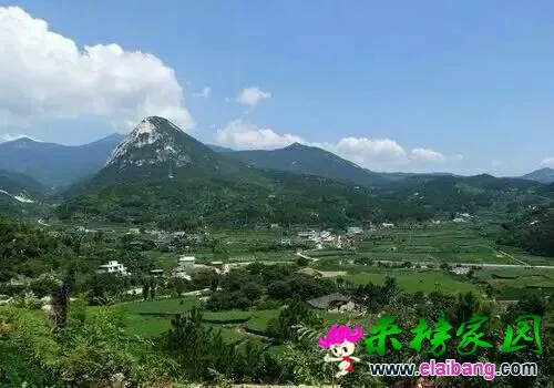 美丽村庄.webp