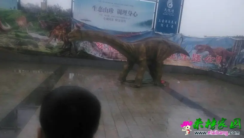 133126fxilccod92ovvycy.webp