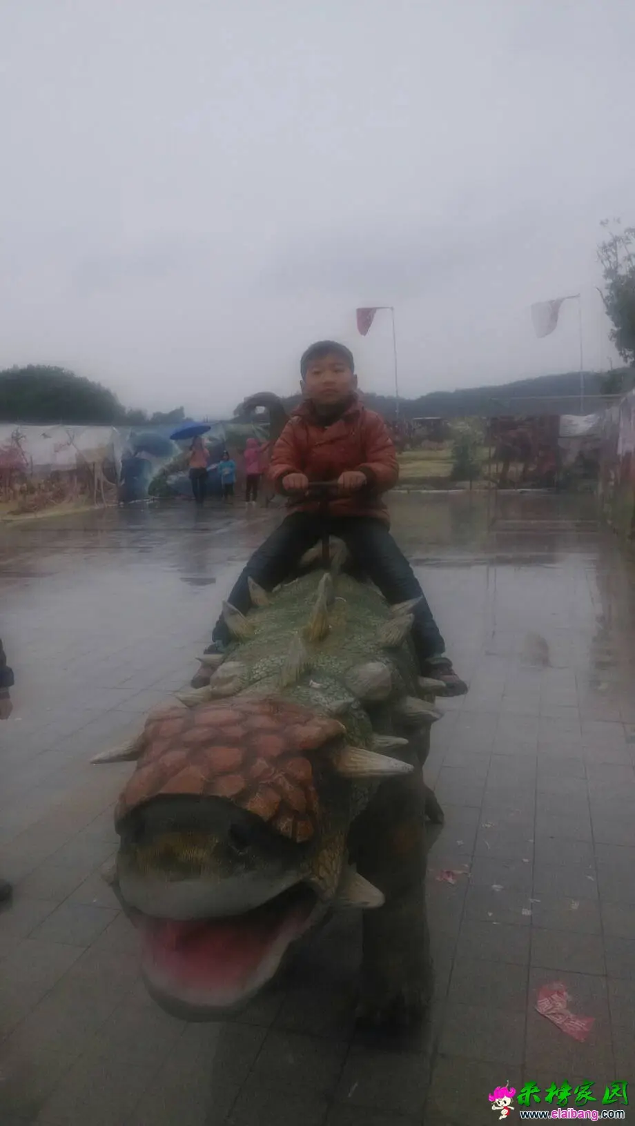 133126xwilg98zzmjlwwid.webp