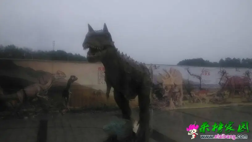 133126zajzd9633ptep09n.webp