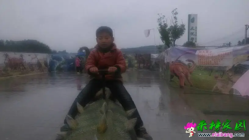 133256y0c9cj79awnomzxf.webp