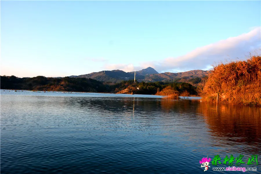 DSC_8853_副本 - 副本.webp