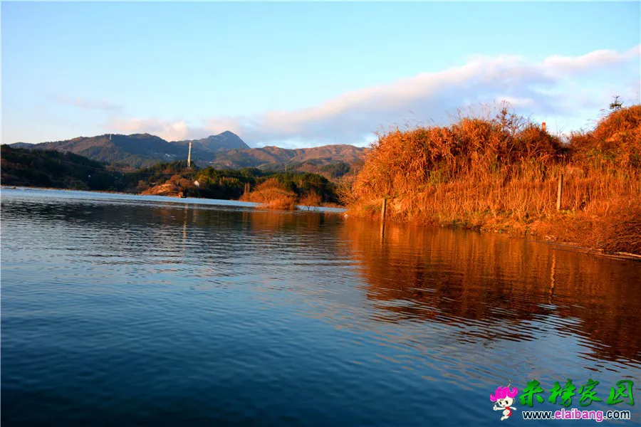 DSC_8854_副本.webp