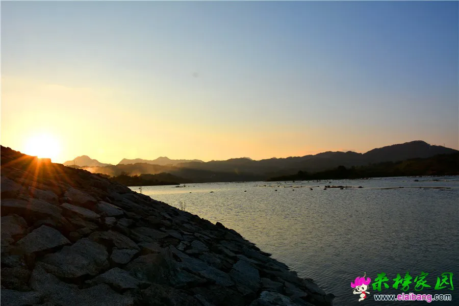 DSC_8855_副本 - 副本.webp