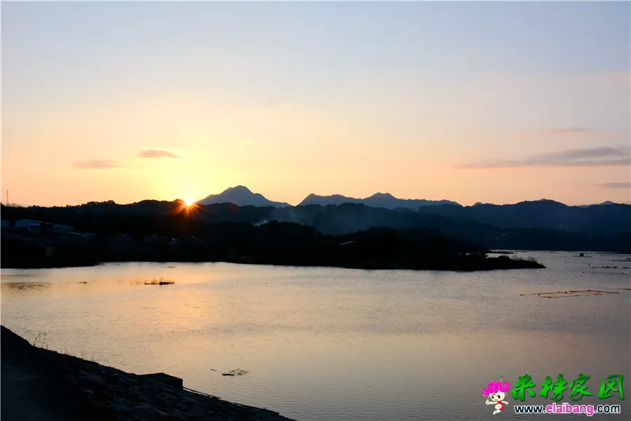 DSC_8905_副本 - 副本.webp