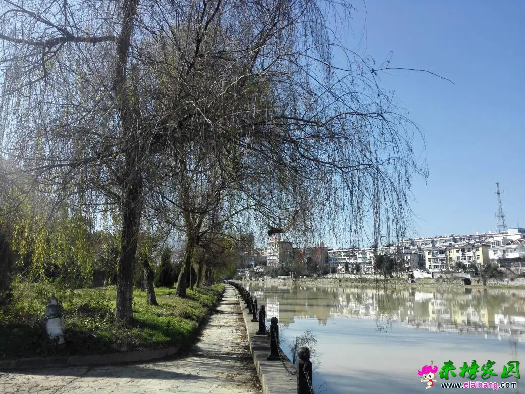 175930xa794iid9mazdr9d.webp