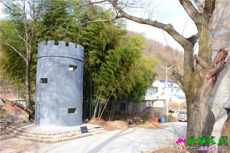 DSC_8935.webp