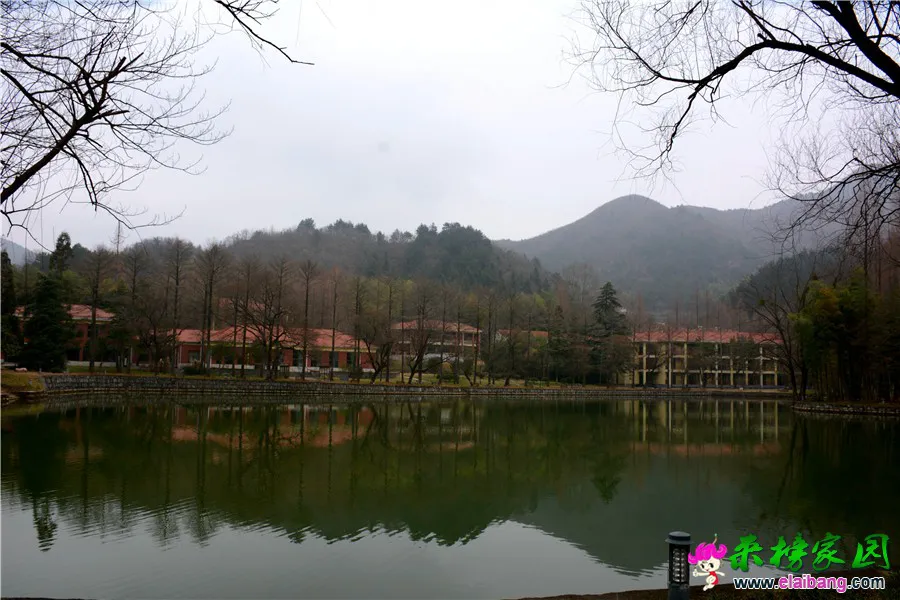 DSC_8981_副本.webp