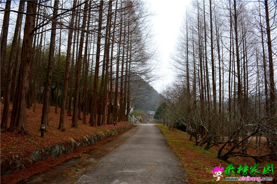 DSC_8975_副本.webp