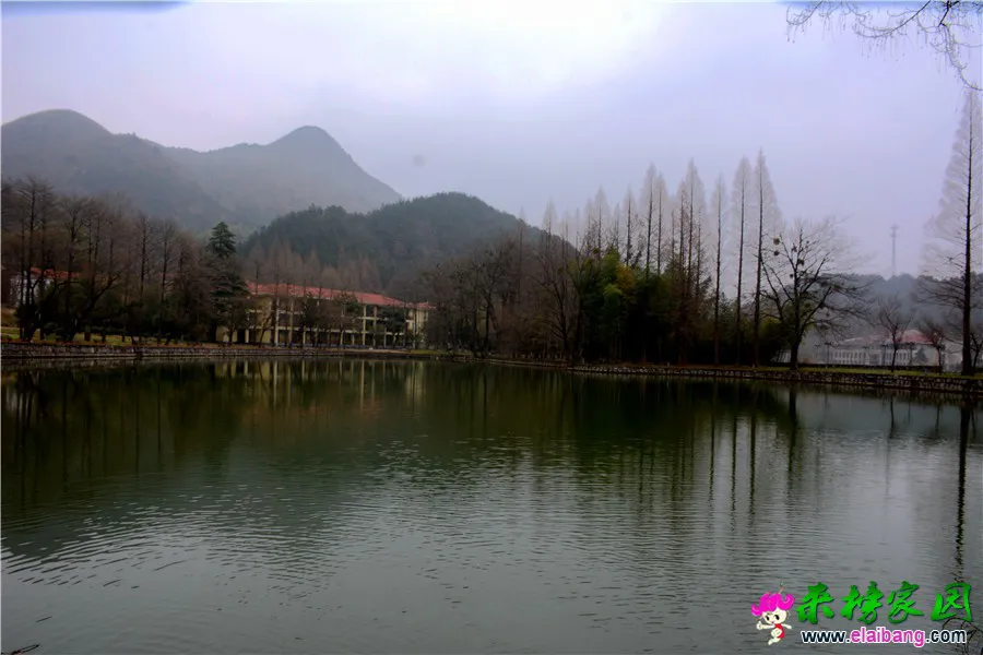 DSC_8991_副本.webp