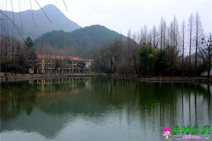 DSC_9001_副本.webp
