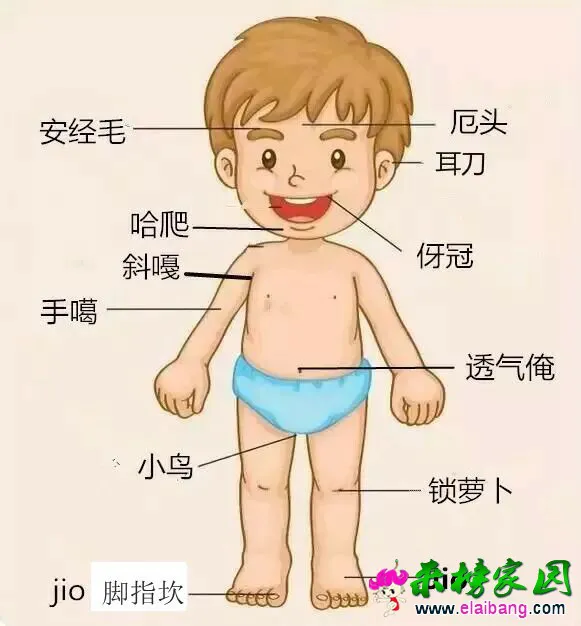 QQ图片20151216201308.webp