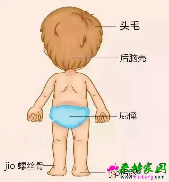QQ图片20151216201244.webp