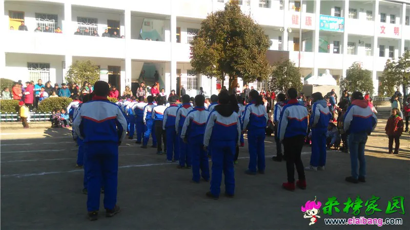 IMG_20151218_093501.webp
