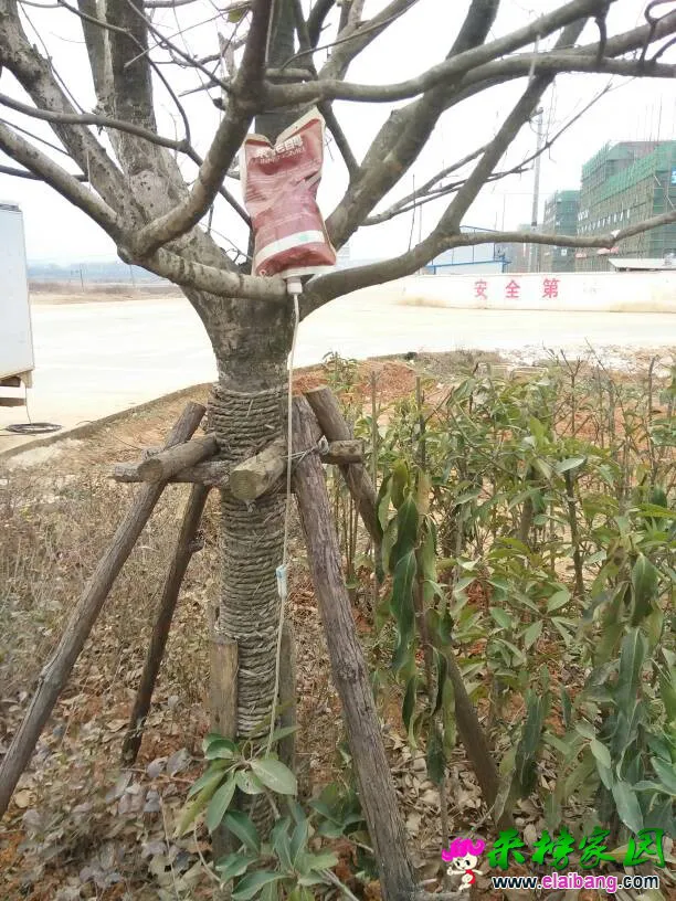 150550xn166a5lr6sbeq87.webp