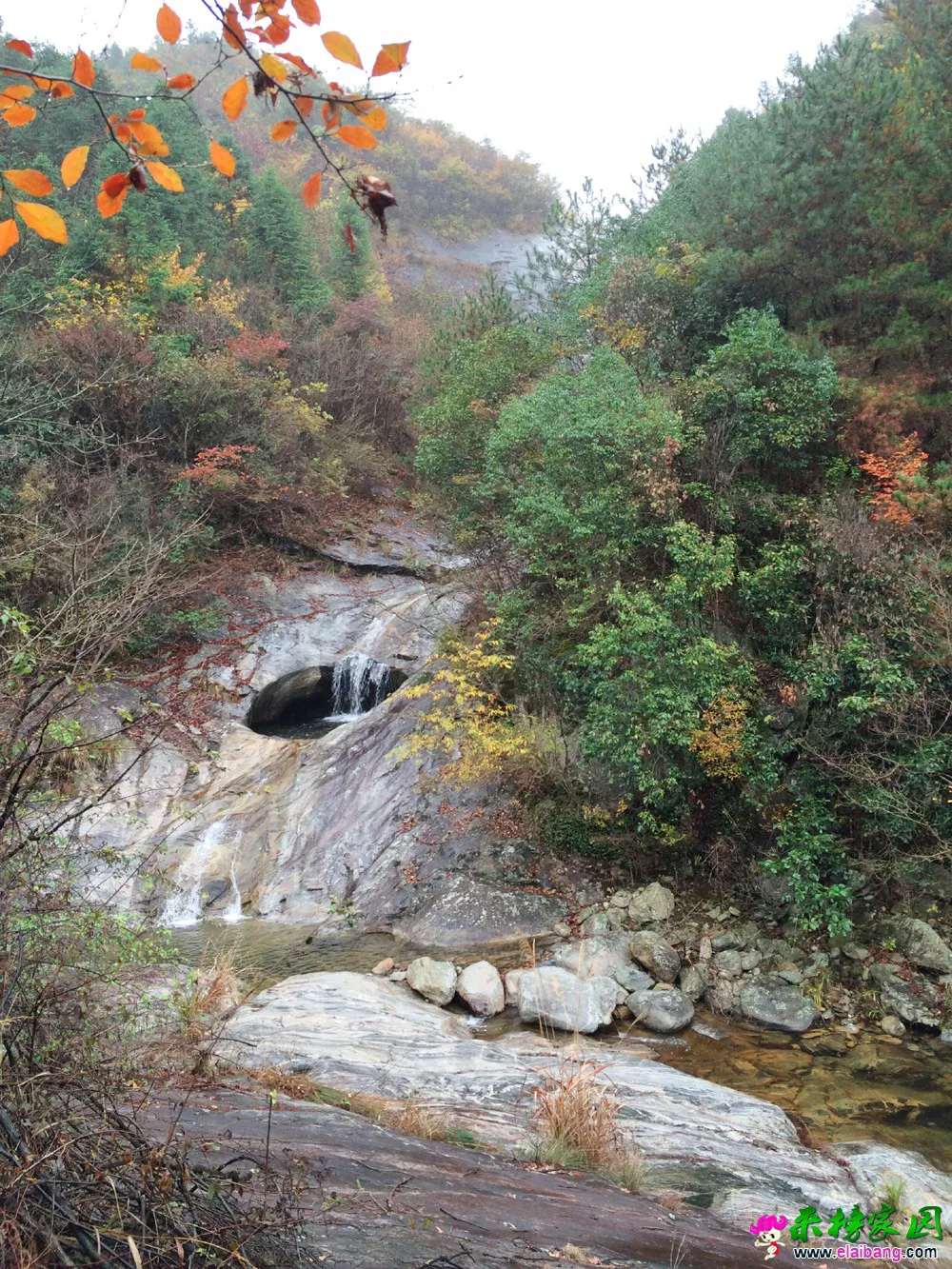 20151218030614645.webp