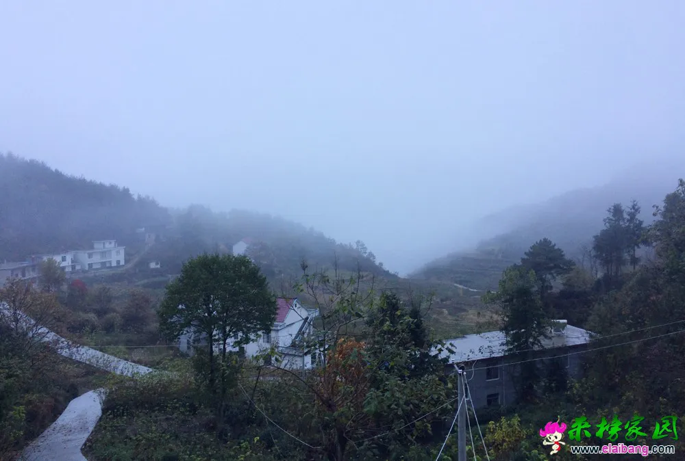 20151218031238865.webp
