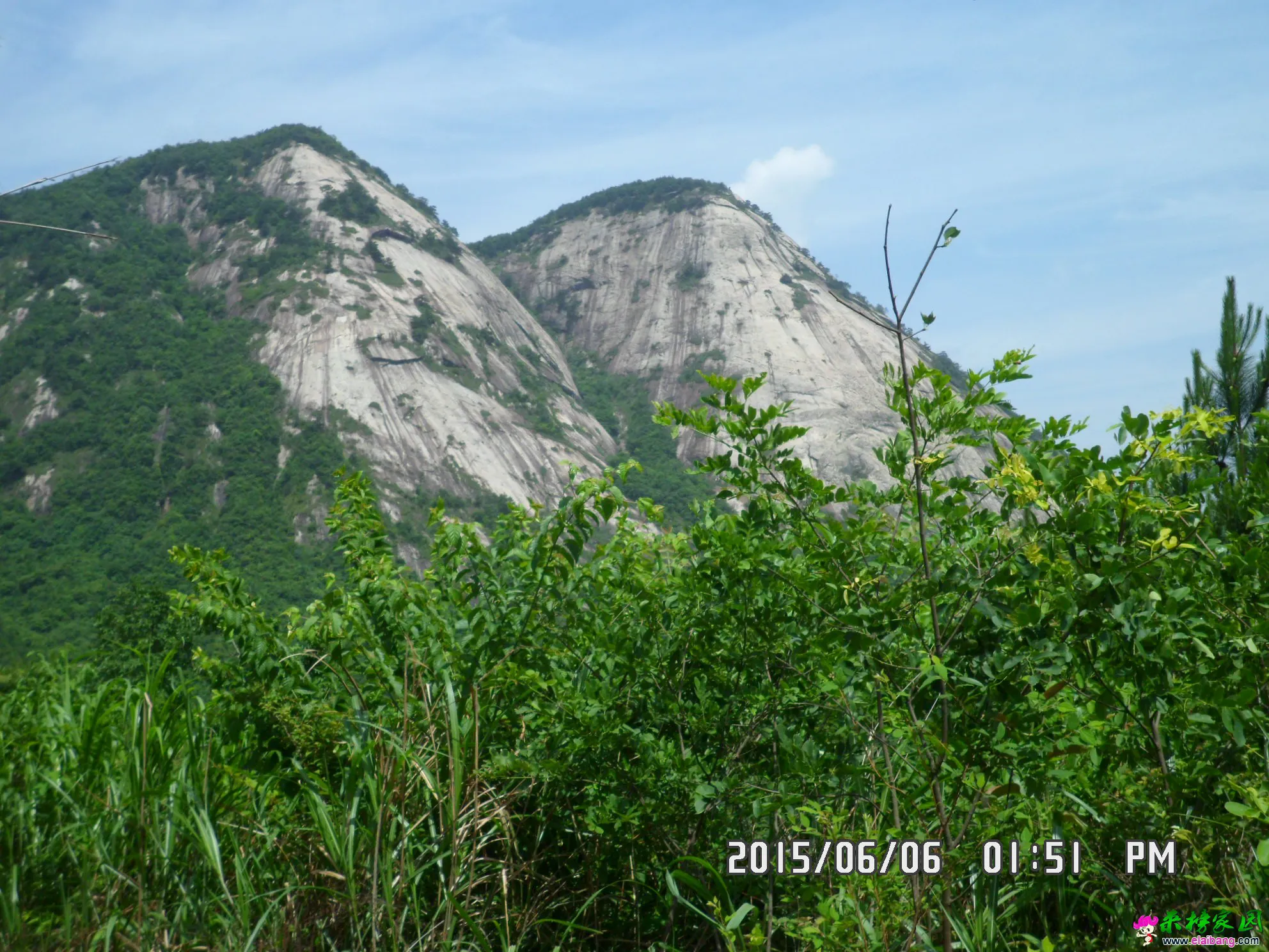 SAM_5953.webp