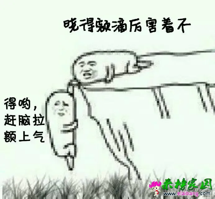 154635c7yxjwm7ey555ae3.webp