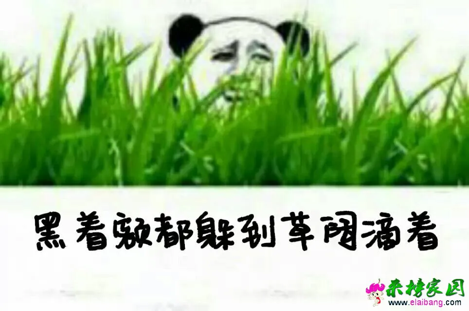 154635ynl5w8833uvan5h7.webp