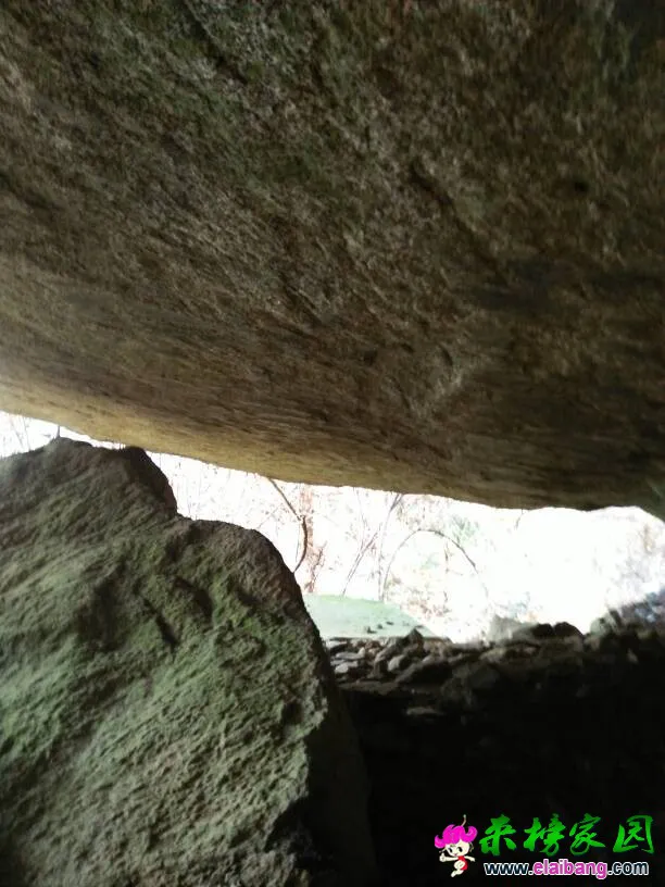 140600zl892t0j8y9tl129.webp