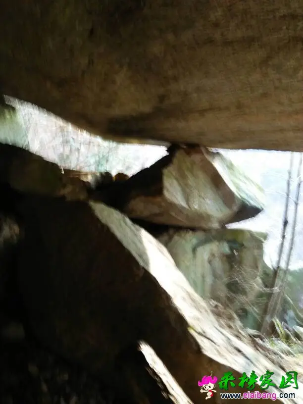 140720ytd00ctvecdmbobm.webp