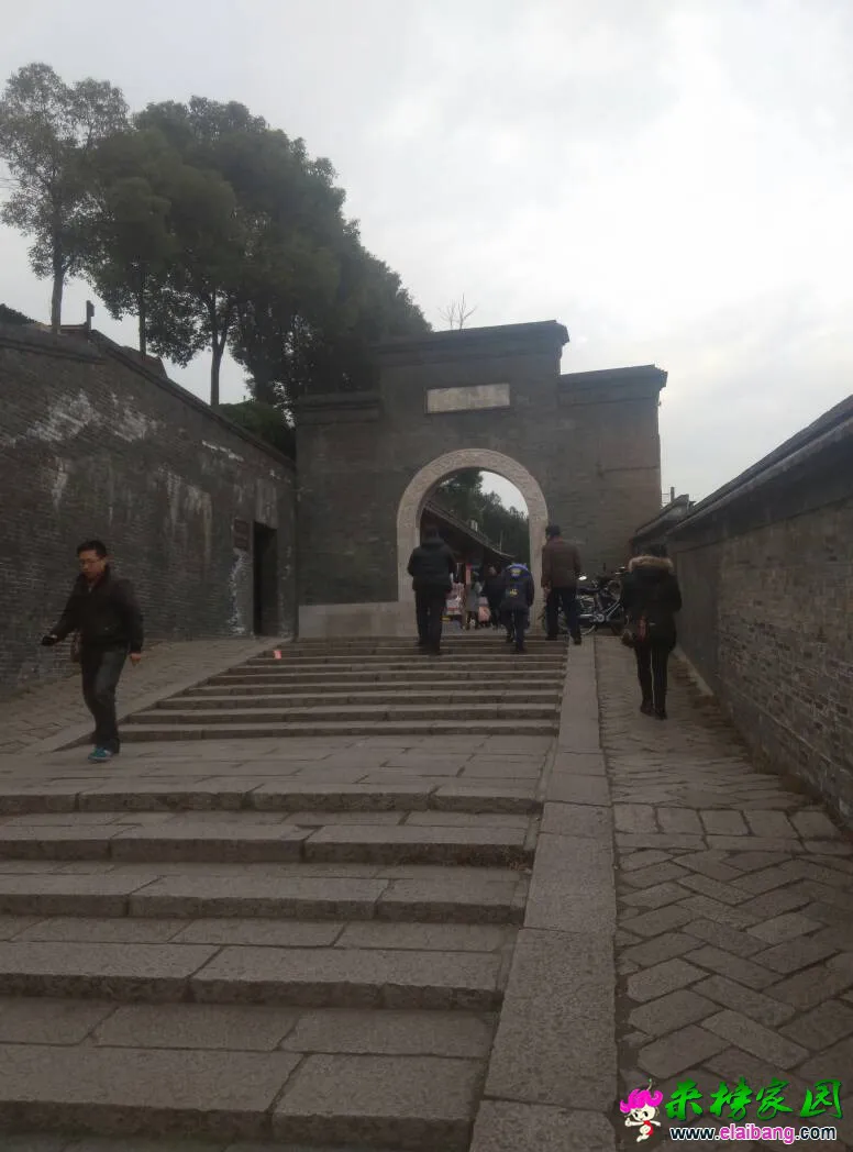174928yp6qt1r1tm1op8q1.webp